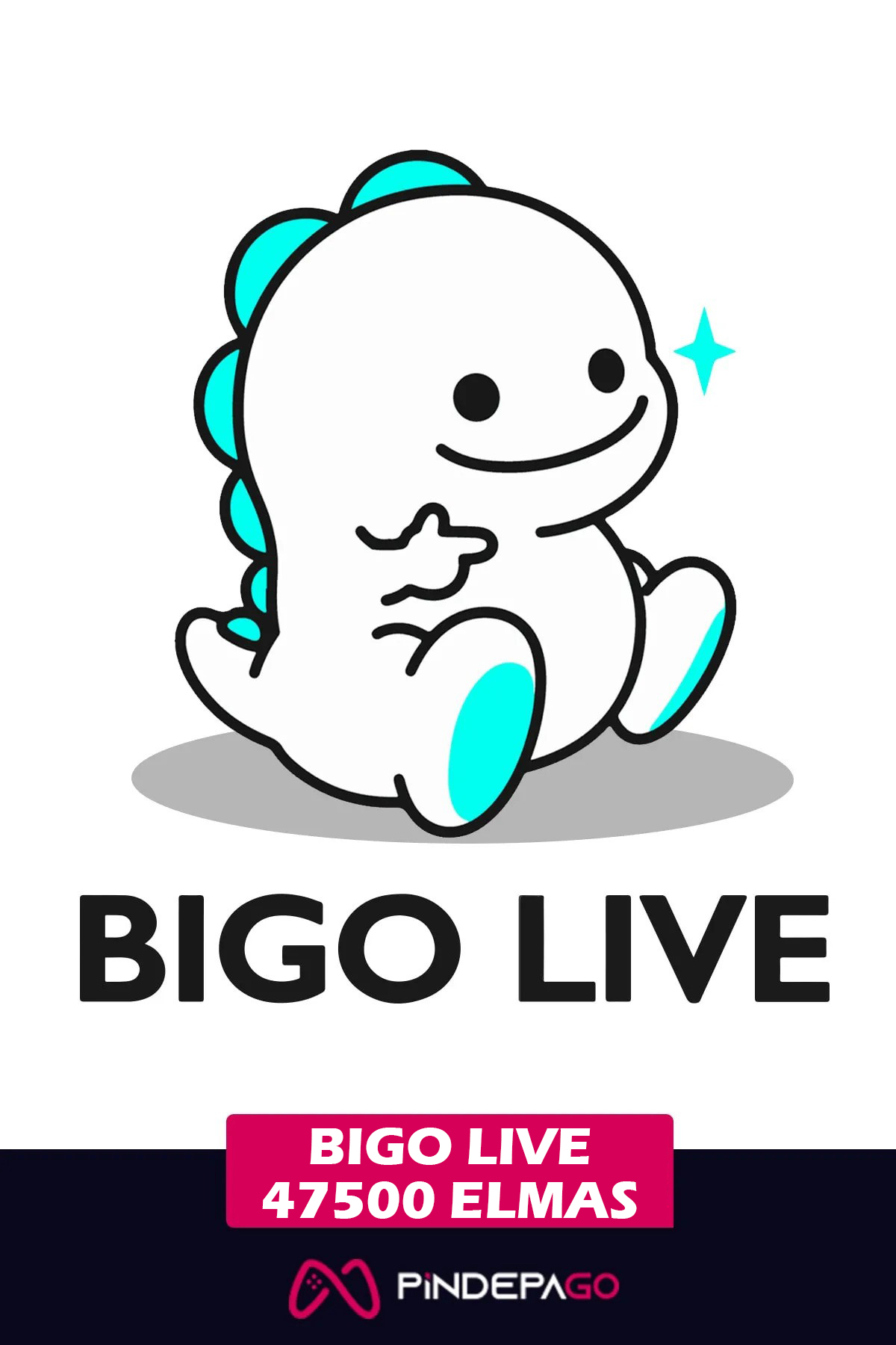 Bigo Live 47500 Elmas 