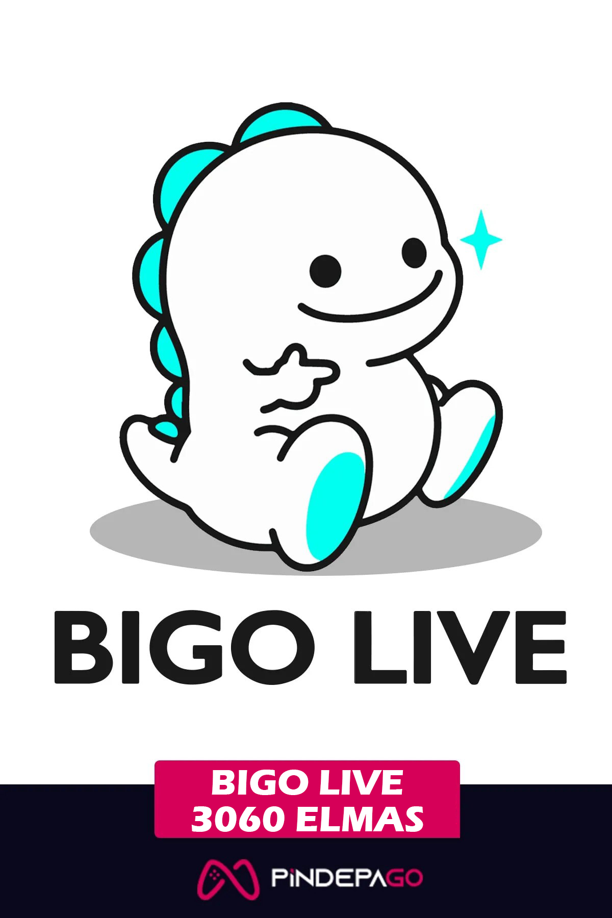 Bigo Live 3060 Elmas 