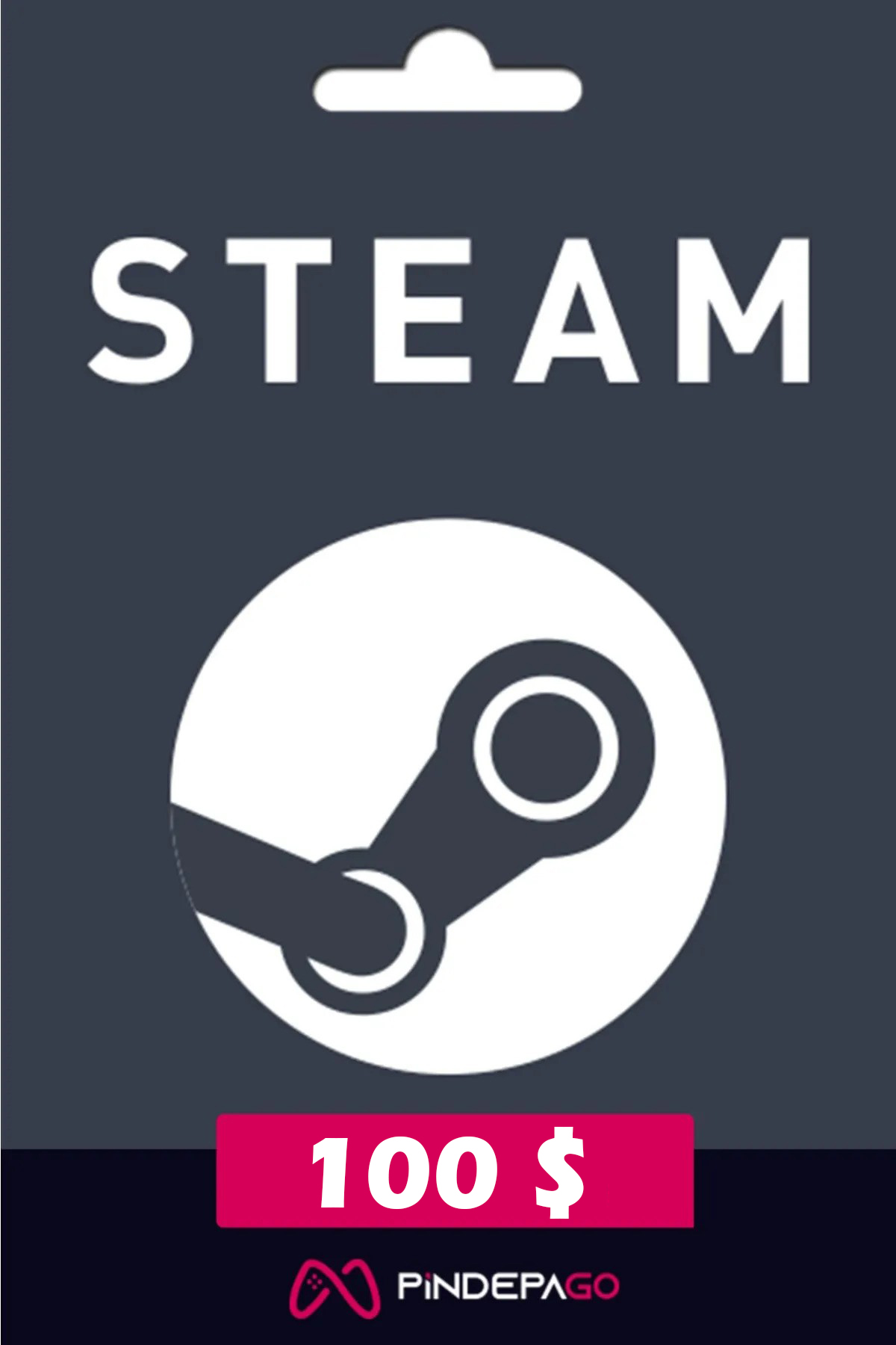 Steam 100 USD Czdan Kodu